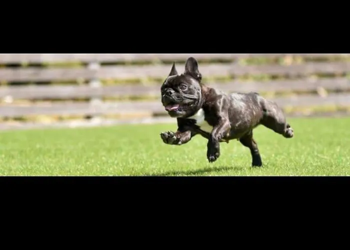 La Bois Joli Restaurant Bagnoles de l'Orne Normandie